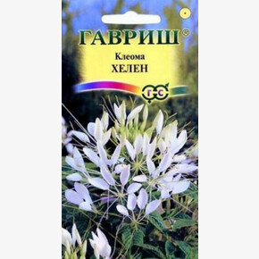 Клеома Хелен/Гавриш/цп 0,3гр.