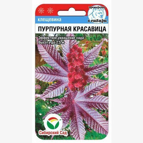 Клещевина красавица 5шт Сиб Сад