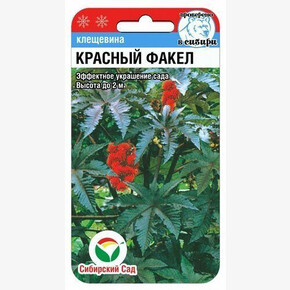 Клещевина Красный факел 5шт Сиб Сад