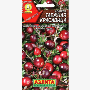 Клюква Таежная Красавица/ Аэлита
