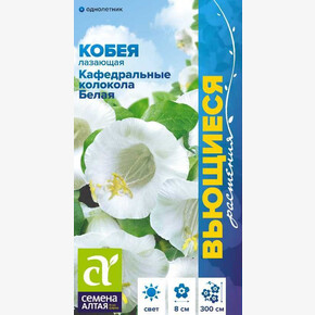 Кобея Кафедральные Колокола Белая/ Семена Алтая