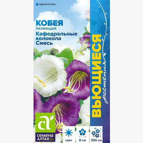 Кобея Кафедральные Колокола Смесь/ Семена Алтая