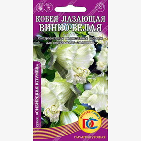 Кобея лазающая Винно-белая /0,3 гр Дем Сиб/