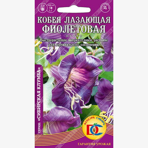 Кобея лазающая Фиолетовая /0,2 гр Дем Сиб/