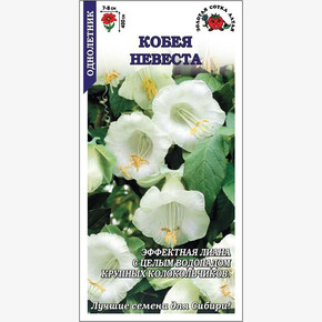 Кобея Невеста /Сотка