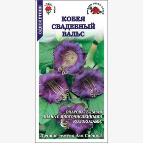 Кобея Свадебный Вальс/Сотка