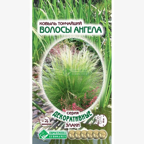 Ковыль тончайший Волосы Ангела/ Евросемена