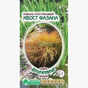 Ковыль ХВОСТ ФАЗАНА (7 шт)/ Евросемена