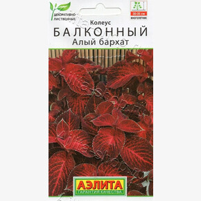 Колеус Алый бархат 5шт/ Аэлита