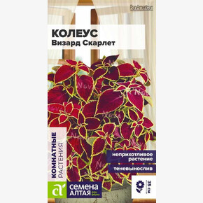 Колеус Визард Скарлет/ Семена Алтая