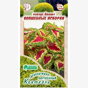 Колеус ВОЛШЕБНЫЕ ИСКОРКИ блюме 10 шт/ Евросемена