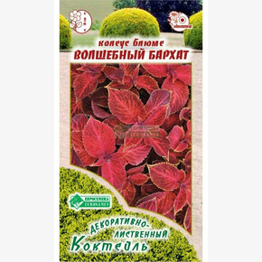 Колеус ВОЛШЕБНЫЙ БАРХАТ 10 шт/ Евросемена