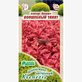 Колеус ВОЛШЕБНЫЙ ЗАКАТ 10 шт/ Евросемена