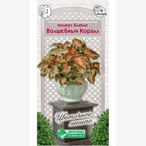 Колеус ВОЛШЕБНЫЙ КОРАЛЛ блюме 10 шт/ Евросемена