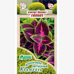 Колеус ГИПНОЗ 3 шт/ Евросемена