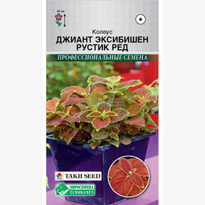 Колеус ДЖИАНТ ЭКСИБИШЕН Рустик Ред 5 шт/ Евросемена