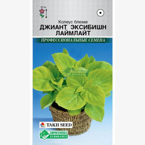 Колеус Джиант Эксибишн Лаймлайт блюме (3 шт) Евросемена