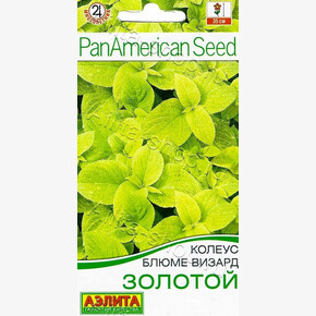 Колеус Золотой 5шт/ Аэлита