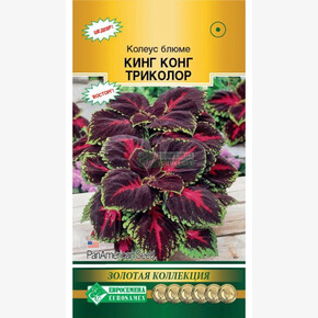 Колеус Кинг Конг триколор/ Евросемена