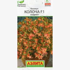 Колеус Колоча скарлет 5шт/ Аэлита