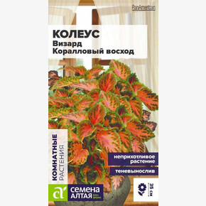 Колеус Коралловый Восход/Семена Алтая/цп 5 шт.