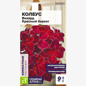 Колеус Красный бархат/Семена Алтая/цп 5 шт.