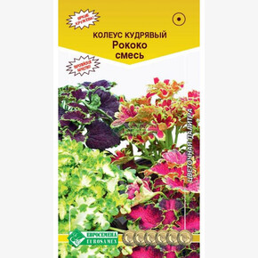 Колеус кудрявый Рококо смесь/ Евросемена