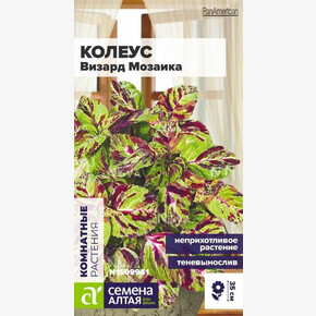Колеус Мозаика/Семена Алтая/цп 5 шт.