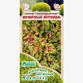 Колеус МОЗАИЧНЫЙ ФЕСТИВАЛЬ 10 шт/ Евросемена