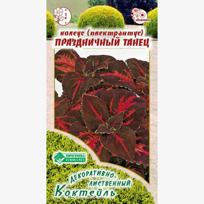 Колеус ПРАЗДНИЧНЫЙ ТАНЕЦ 10 шт/ Евросемена