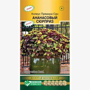 Колеус Премиум сан Ананасовый Сюрприз (3 драже)/ Евросемена