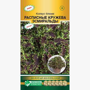 Колеус Расписные Кружева Эсмиральды 10, драже/ Евросемена