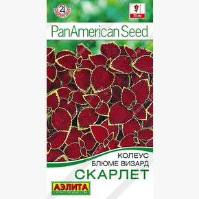 Колеус Скарлет 5шт/ Аэлита