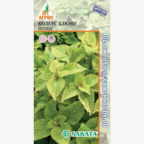 Колеус Файвей Йеллоу 10шт*