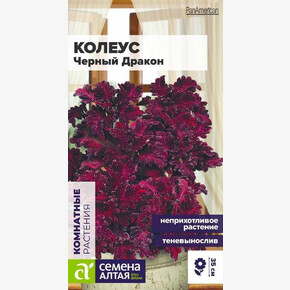 Колеус Черный Дракон/Сем Алт/цп 5 шт.