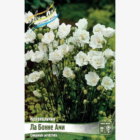 КОЛОКОЛЬЧИК ЛА БОННЕ АМИ