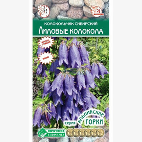 Колокольчик Лиловые колокола/ Евросемена