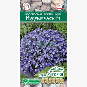 Колокольчик МУДРЫЕ ЧАСЫ портеншлага 5 шт/ Евросемена