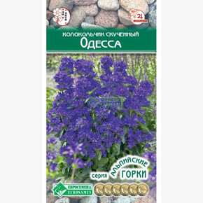 Колокольчик Одесса/ Евросемена
