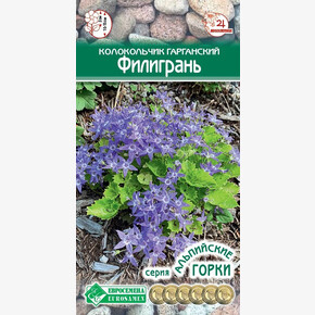 Колокольчик ФИЛИГРАНЬ гарганский 5 шт/ Евросемена