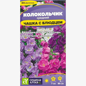 Колокольчик Чашка с Блюдцем/ Семена Алтая 0.1 гр.