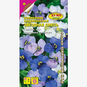 Коммелина Звездная/ Аэлита/ 2025ПАРТ