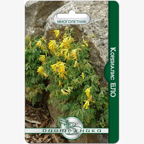 Кордиалис Ело / Биотехника