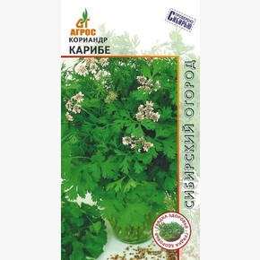 кориандр Карибе