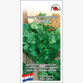 Кориандр Карибе /Сотка/ 1 г (Бейо)