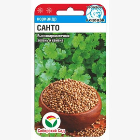 Кориандр Санто/ Сибсад