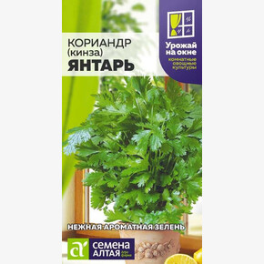Кориандр Янтарь/ Семена Алтая 2 гр. УРОЖАЙ НА ОКНЕ!!