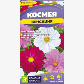 Космея Сенсация Кенди Страйп/Семена Алтая/цп 0,3 гр. (2029 / 4467)