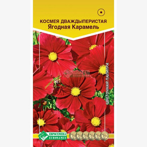 Космея ЯГОДНАЯ КАРАМЕЛЬ (0,1 гр)/ Евросемена