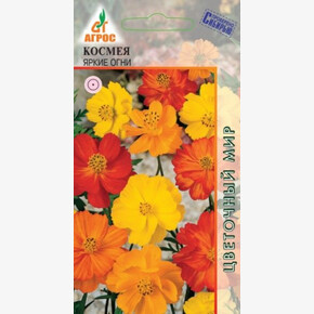 Космея Яркие Огни/ Агрос